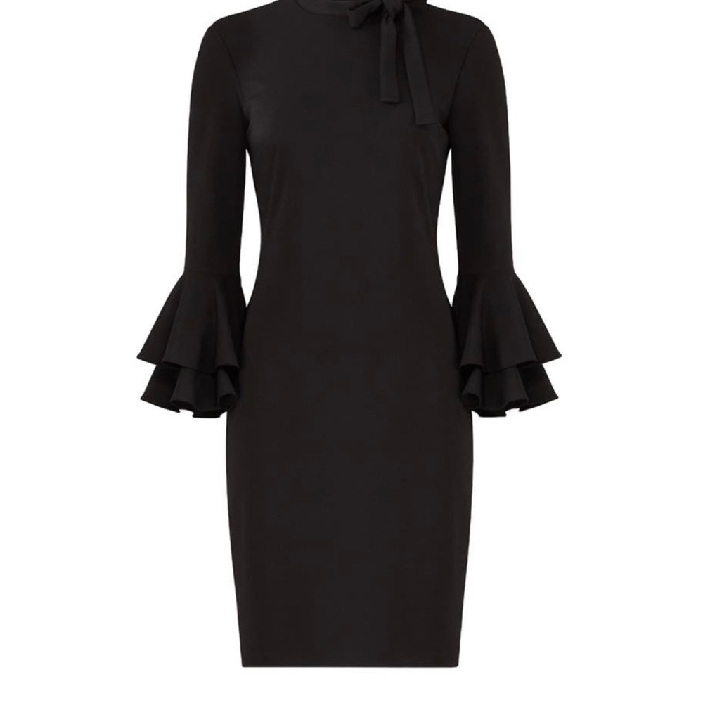 Alexia Admor Ruffle Sleeve Sheath